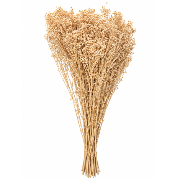 Broom Broom Sahara 150 gr. 