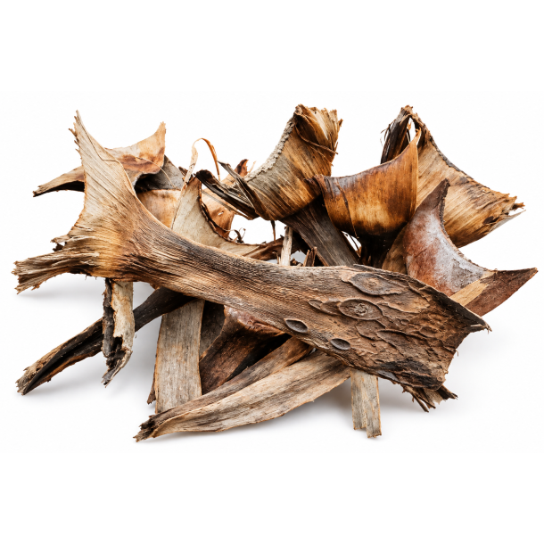 Agave Smalle natural 60 stk