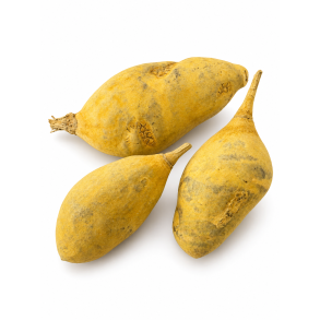 Baobab Medium Yellow 5 stk