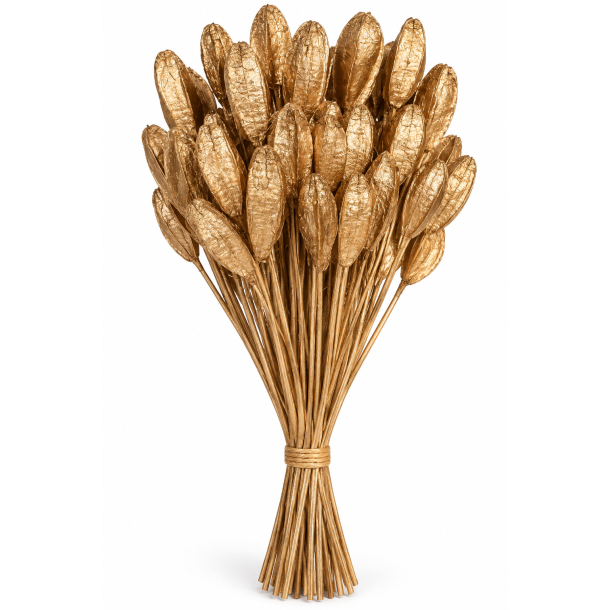 Mahogany on stem 50 stk. Gold Wash