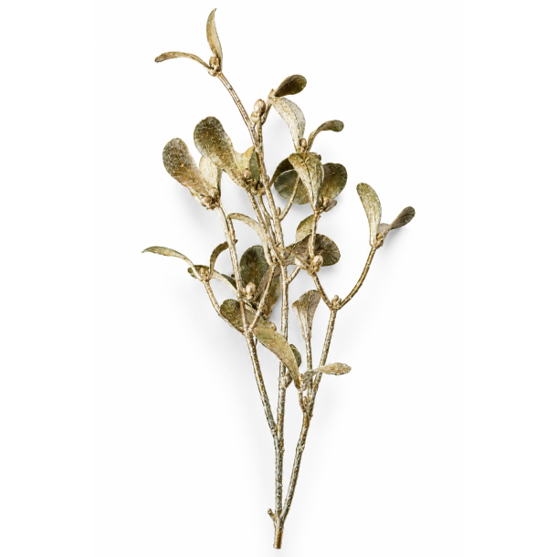 Mistelten Champagne 71 cm, pr. stk. 