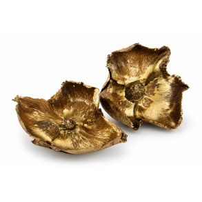 Palm Cup 30 stk. Gold Wash