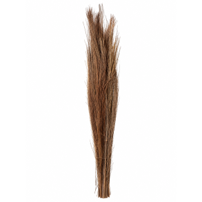 Wild Eryanthus Natur 600 gr. 