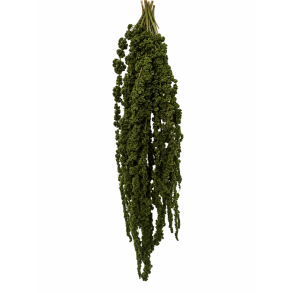 Amarantus mosgr�n 