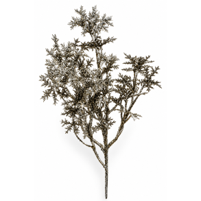 Snefnug p� gren stk