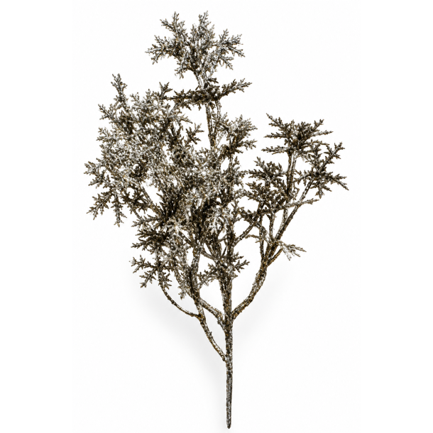 Snefnug p� gren stk