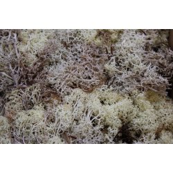 Finlandsmos natur 500 gr