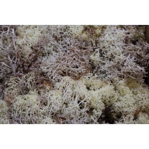 Finlandsmos natur 500 gr