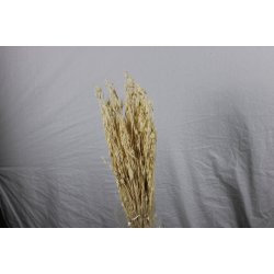 Florentiner Branche Hvid, 250 gr. 