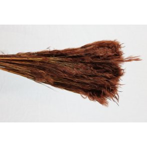 Pluminha Gr�s Marrone