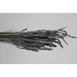 Dactilus Silbergrau, 150 gr. 