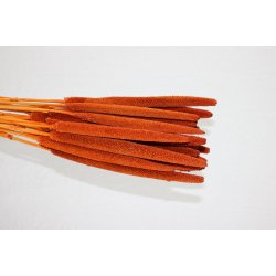 Balaba Terracotta, 20 stk