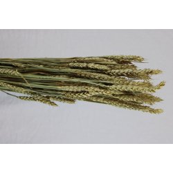 Tarwe (Hvede) Natur, 200 gr.