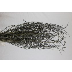 Cico Grs Silbergrau, 200 gr.