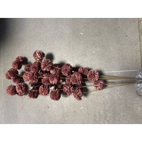 Kopi af Ting shola kadam D 4 cm L 70 cm