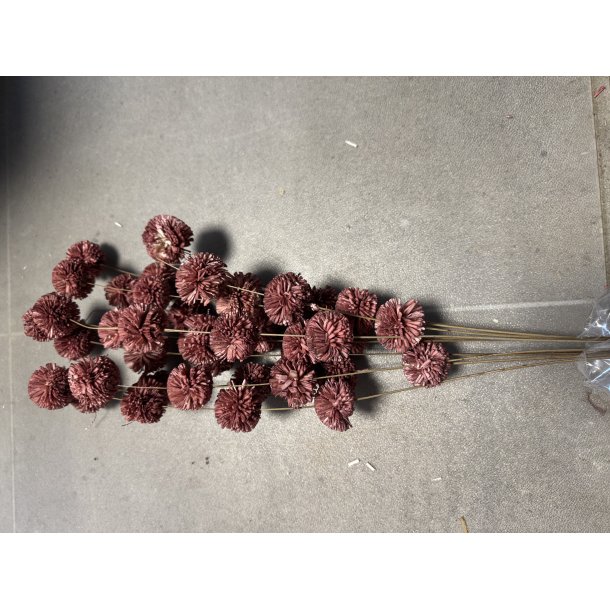 Kopi af Ting shola kadam D 4 cm L 70 cm