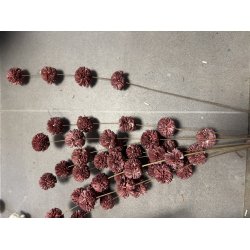 Kopi af Ting shola kadam D 4 cm L 70 cm