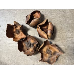 Palm cup natur 30 stk