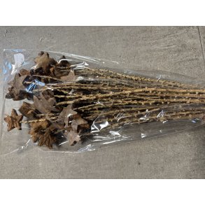 Coco star p stilk 36 stk