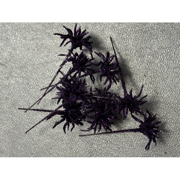 Stjerneblomst lilla 144 stk