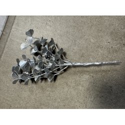 Mini Eucalyptus Platin 