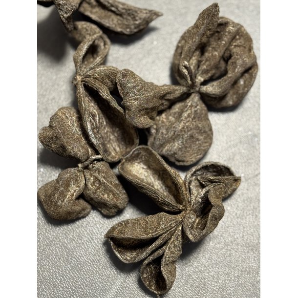 Lad lotus 50 stk platin