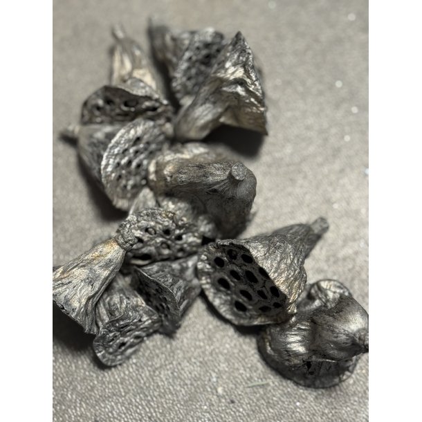 Lotus mini 200 stk slv