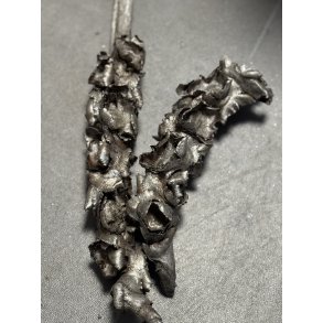 Palm female platin 10 stk