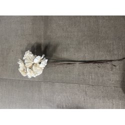 Shola Nayan flower 12 stk