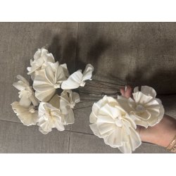 Shola Nayan flower 12 stk