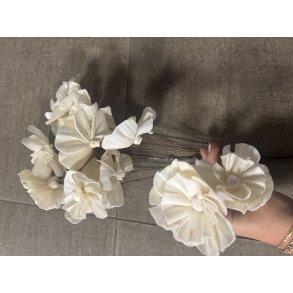 Shola Nayan flower 12 stk