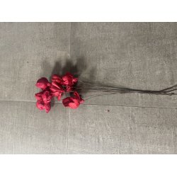 Shola Nayan flower 12 stk rd