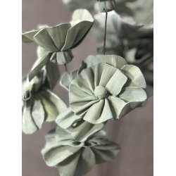 Shola Nayan flower 12 stk GRN