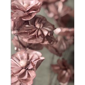 Shola Nayan flower 12 stk rosa