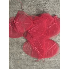 Skeleton blade 100 stk rd