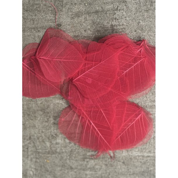 Skeleton blade 100 stk rd