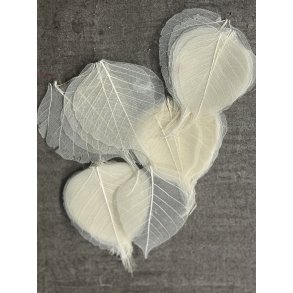 Skeleton blade 100 stk hvid