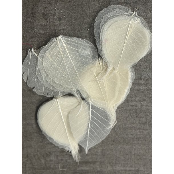 Skeleton blade 100 stk hvid