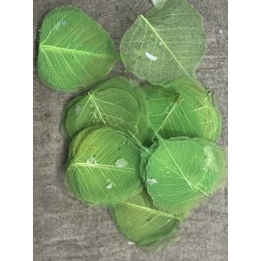 Skeleton blade 100 stk grn