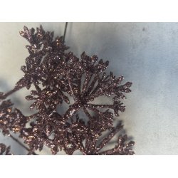 Skrmblomst Purple pr. stk. .