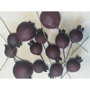 Granatble bordeaux 72 stk mix