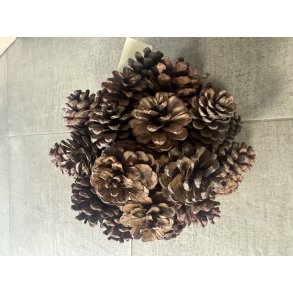 Pine ball 20 cm 