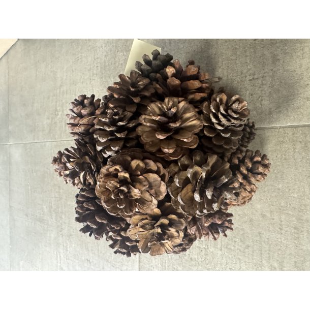 Pine ball 20 cm 