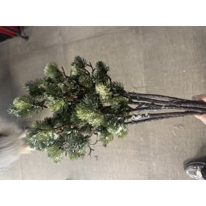 Sulten gran med kogler 98 cm