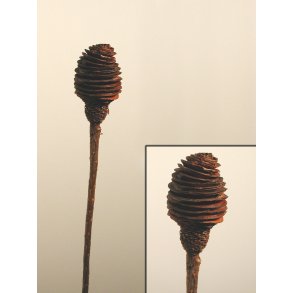 Platyspernum 1. hoved, Brun, 30 stk