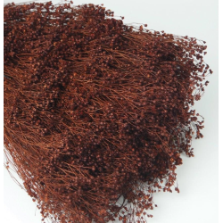 Tati Broom Naturbrun, 200 gr. 