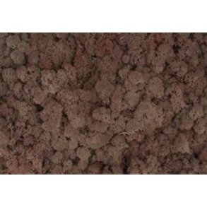 Finlandmos Brun 500 gr.