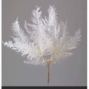 Felcine 15 stk, Hvid