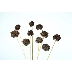 Spidergum p stilk 30 stk