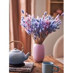 Dried Lagurus Lavender